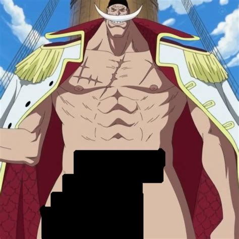 the one piece is real nsfw meme